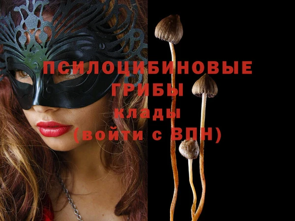 COCAINE Гусь-Хрустальный