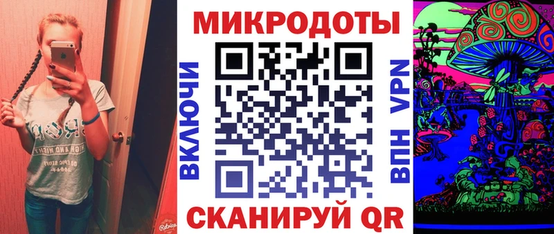 Галлюциногенные грибы Psilocybe  Дудинка 